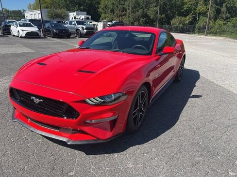 Used 2019 Ford Mustang GT w/ Equipment Group 301A RWD image 4