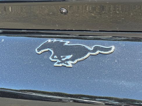 New 2025 Ford Mustang Mach-E Premium w/ Sport Appearance Package image 8