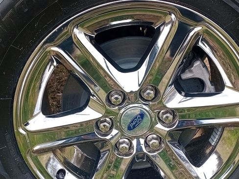 New 2025 Ford F150 XLT w/ Equipment Group 301A Standard image 19