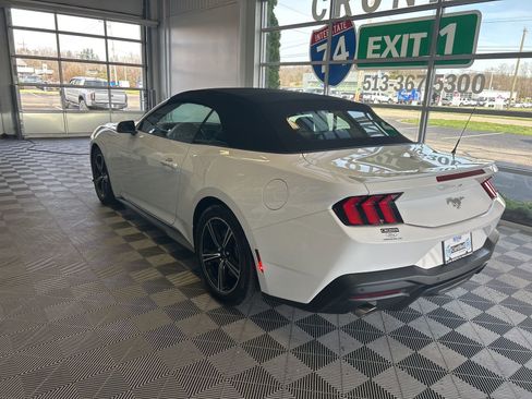 Used 2024 Ford Mustang Premium image 4