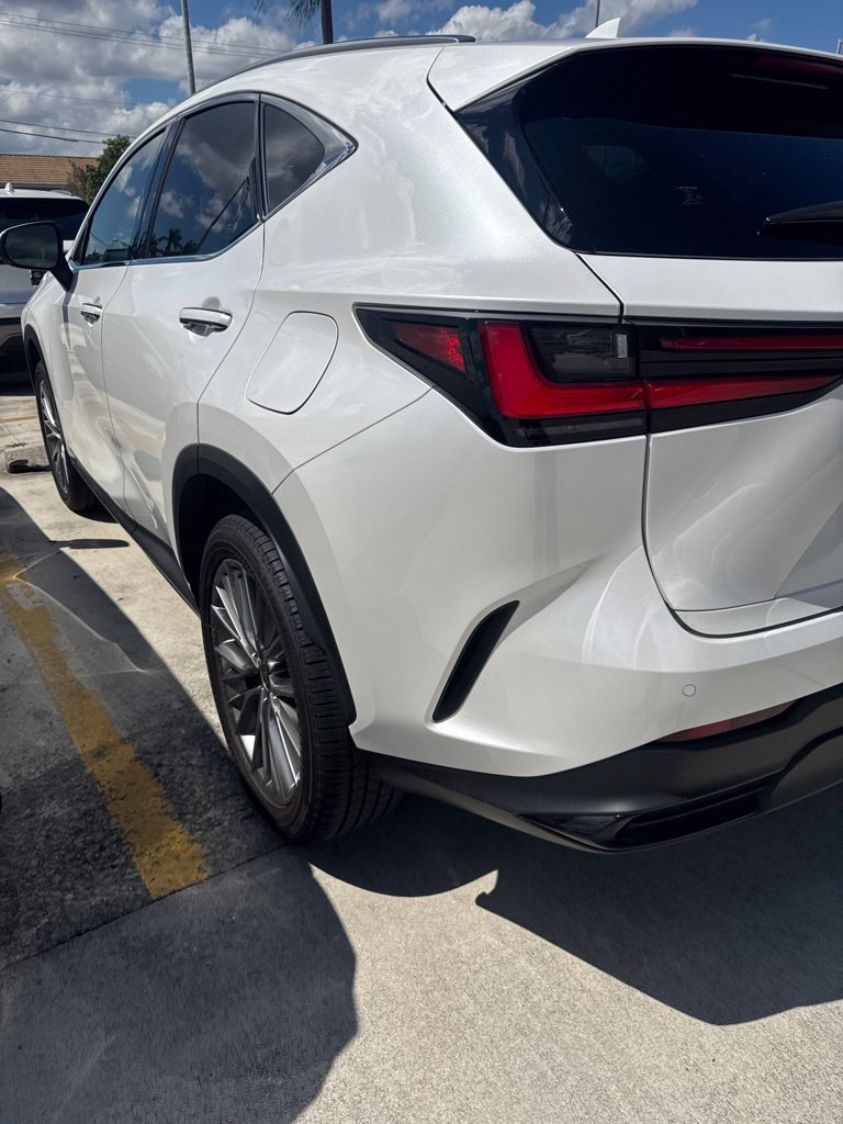 Certified 2025 Lexus NX 350h AWD w/ Cold Area Package image 6