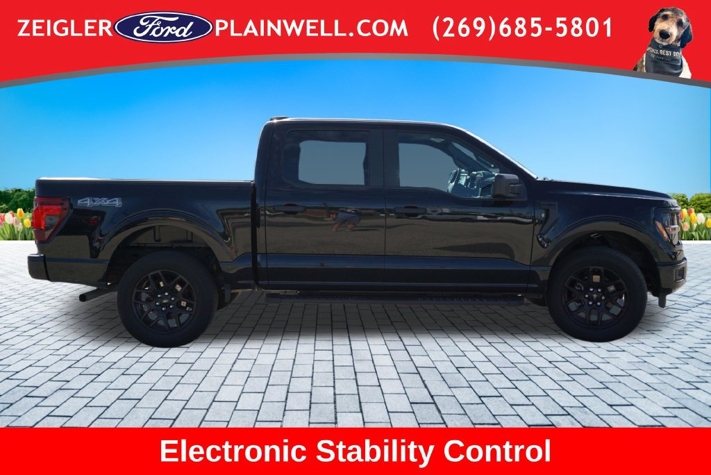 Used 2024 Ford F150 STX w/ STX Black Appearance Package AWD/4WD image 6