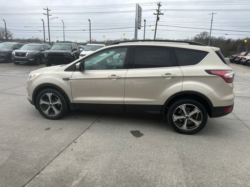 Used 2017 Ford Escape SE w/ SE Leather Comfort Package image 5