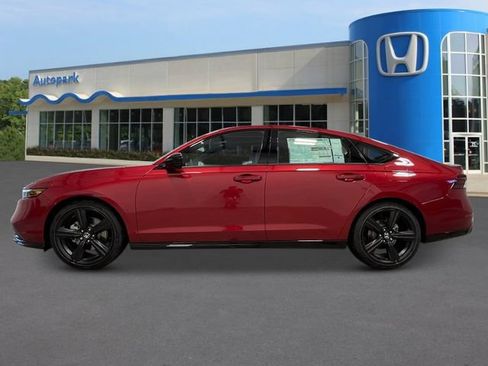 Used 2024 Honda Accord Sport image 2