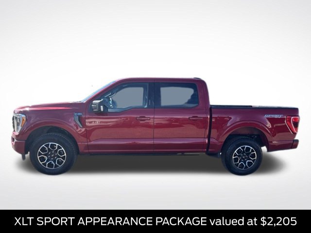 Used 2022 Ford F150 XLT w/ Equipment Group 302A High AWD/4WD image 5