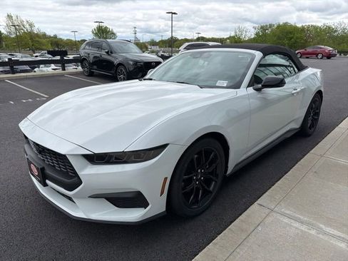 New 2026 Ford Mustang Premium RWD image 5