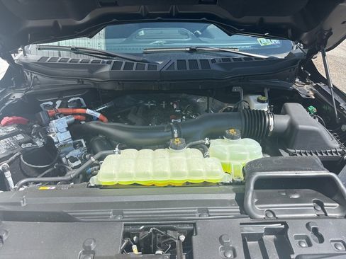 New 2025 Ford F150 XLT w/ Equipment Group 302A MID image 9