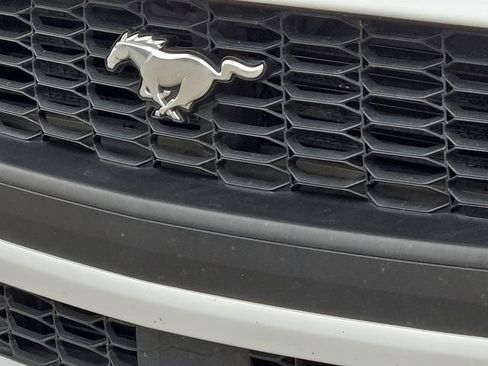 Used 2024 Ford Mustang Premium image 7