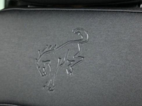 New 2025 Ford Bronco Stroppe Edition image 15