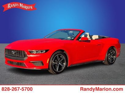Used 2024 Ford Mustang Premium