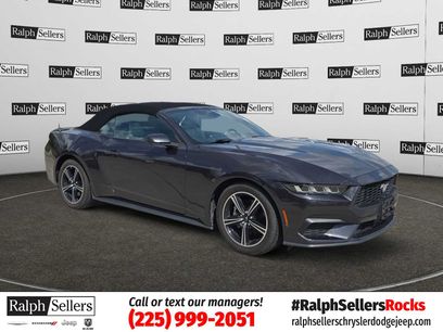 Used 2024 Ford Mustang Premium