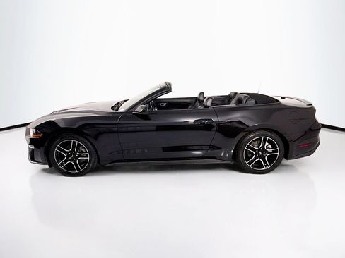 Used 2021 Ford Mustang Premium RWD image 8