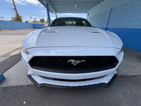 Used 2019 Ford Mustang Coupe RWD image 8
