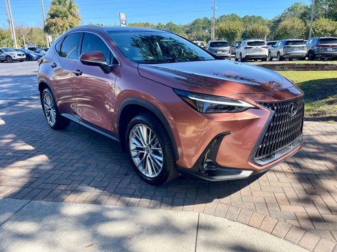Used 2025 Lexus NX 350 AWD w/ Luxury Package image 8