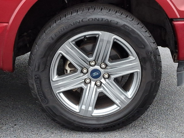Used 2019 Ford F150 XLT w/ Equipment Group 302A Luxury AWD/4WD image 11