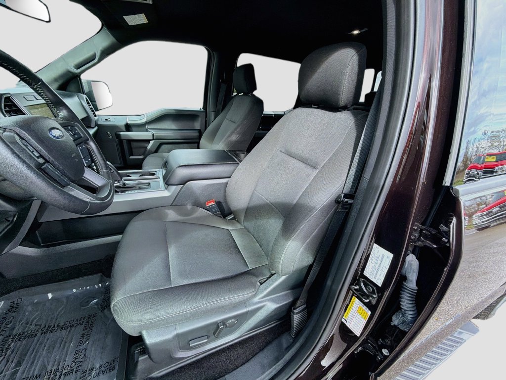 Used 2019 Ford F150 XLT w/ Equipment Group 302A Luxury AWD/4WD image 23