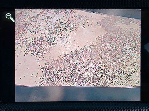 Used 2020 Jeep Gladiator Rubicon w/ Trailer Tow Package image 33