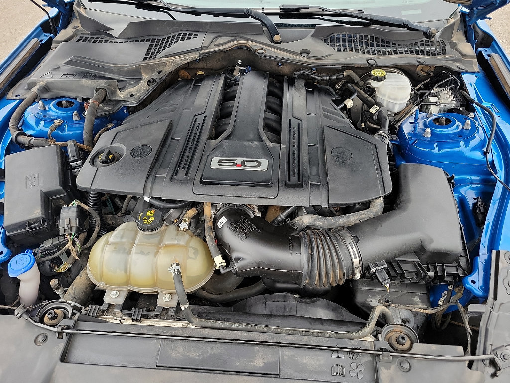 Used 2021 Ford Mustang GT Premium w/ Equipment Group 401A RWD image 16