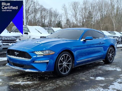 Used 2020 Ford Mustang EcoBoost w/ Equipment Group 101A image 1