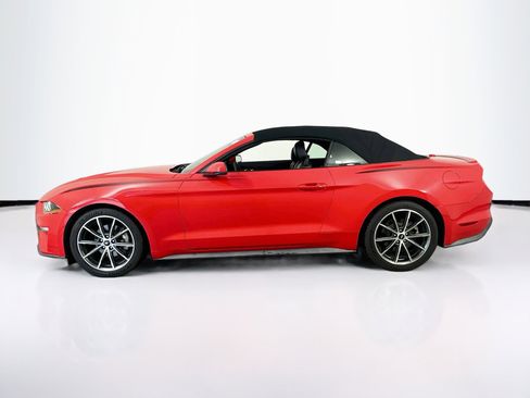 Used 2019 Ford Mustang Premium w/ Equipment Group 201A RWD image 8