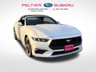 Used 2024 Ford Mustang Convertible RWD video 1