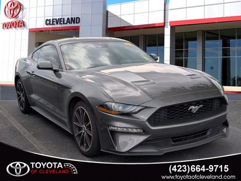 Used 2021 Ford Mustang Coupe w/ Equipment Group 101A RWD image 1
