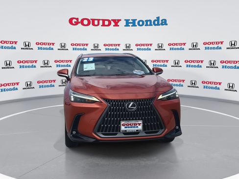 Used 2023 Lexus NX 350 AWD w/ Cold Area Package image 3