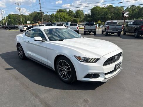Used 2017 Ford Mustang Coupe RWD image 3