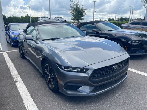 Used 2024 Ford Mustang Premium RWD image 3
