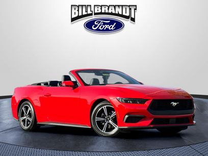 Used 2025 Ford Mustang Premium