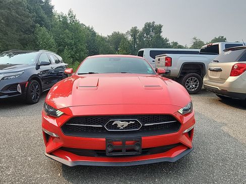 Used 2019 Ford Mustang Premium w/ Equipment Group 201A RWD image 8