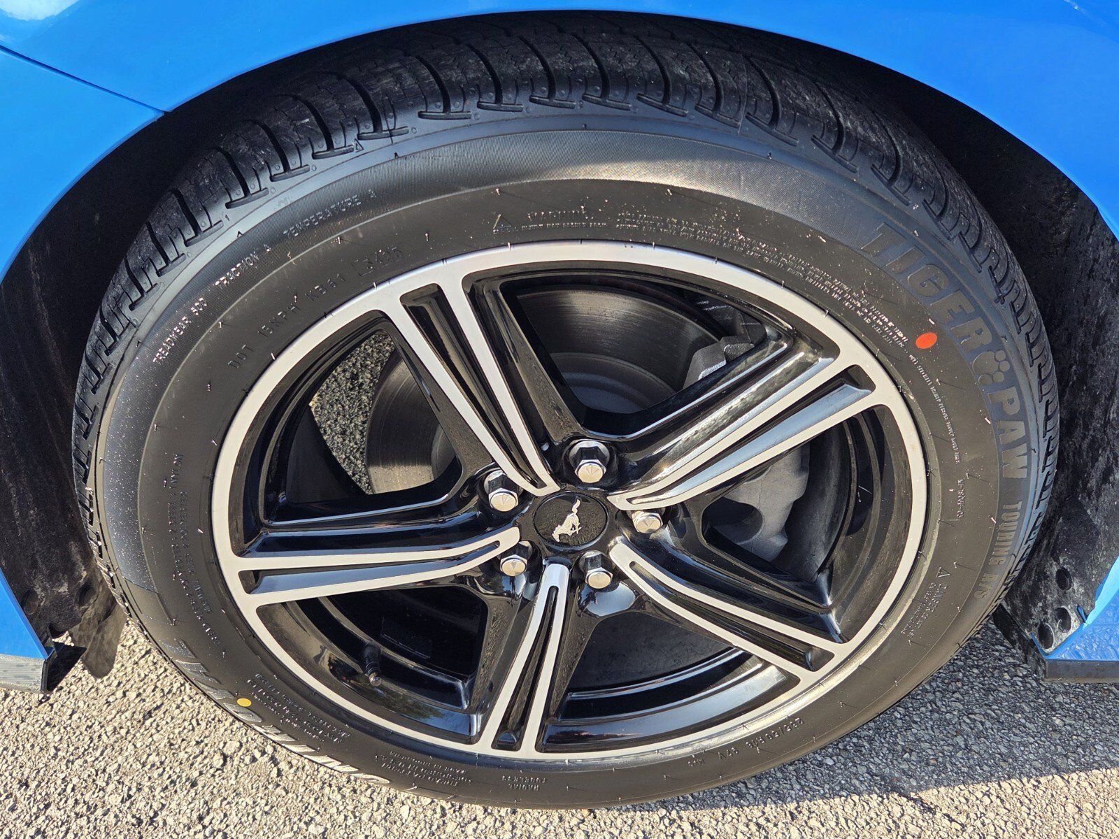 Used 2025 Ford Mustang Premium RWD image 11