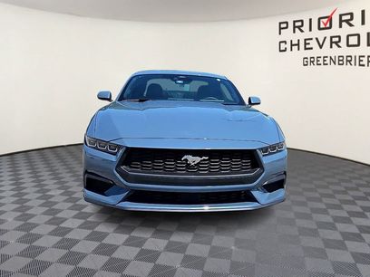 Used 2024 Ford Mustang Coupe