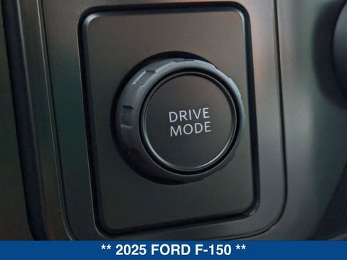 New 2025 Ford F150 STX w/ STX Black Appearance Package image 31