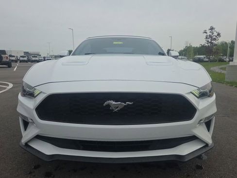 Used 2019 Ford Mustang Premium RWD image 5