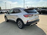 Used 2020 Ford Escape Titanium image 4