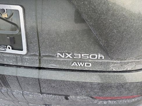 Certified 2024 Lexus NX 300h AWD w/ Luxury Package image 16