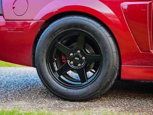 Used 2003 Ford Mustang Cobra RWD image 50