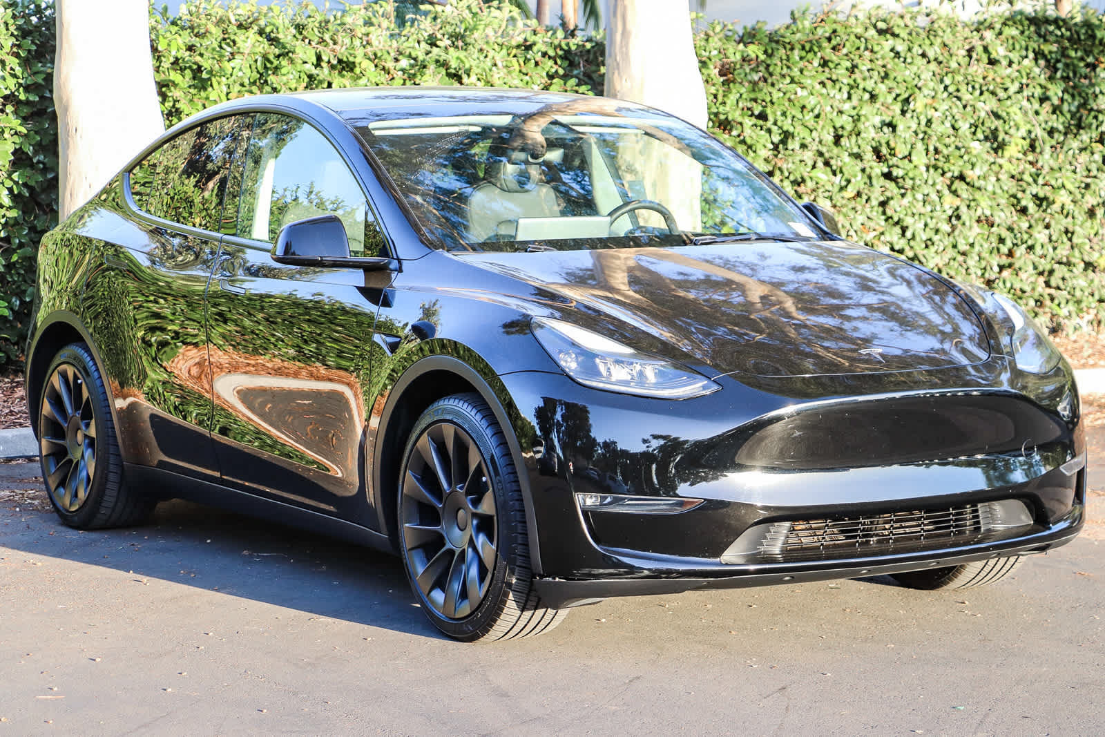 Used 2024 Tesla Model Y Long Range AWD/4WD image 3