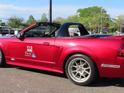 Used 1999 Ford Mustang Cobra RWD image 14