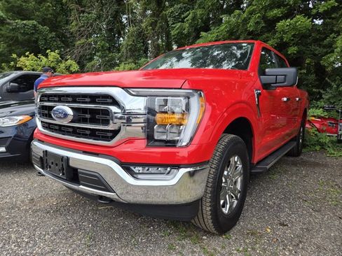 Used 2023 Ford F150 XLT w/ Equipment Group 302A High AWD/4WD image 2