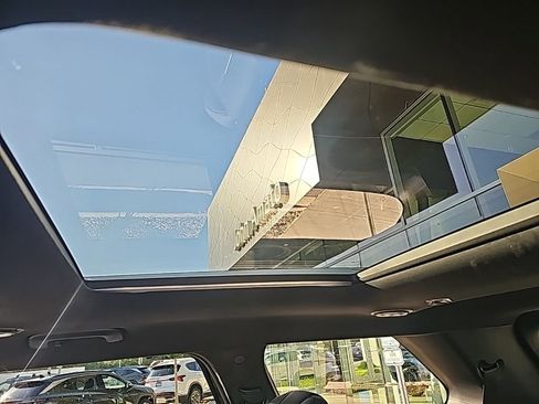 New 2026 Hyundai Palisade Calligraphy image 46