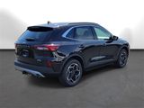 New 2025 Ford Escape Platinum image 4
