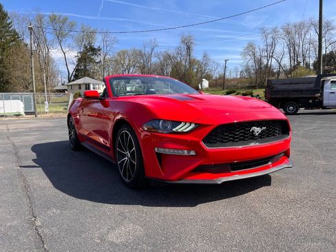 Used 2020 Ford Mustang Premium w/ Equipment Group 201A image 3