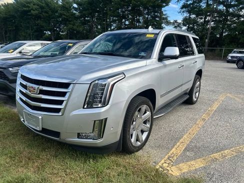 Used 2019 Cadillac Escalade Luxury AWD/4WD image 1