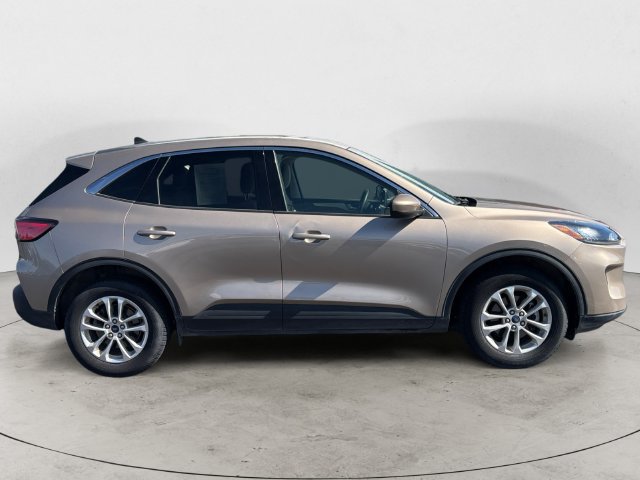 Used 2020 Ford Escape SE AWD/4WD image 4