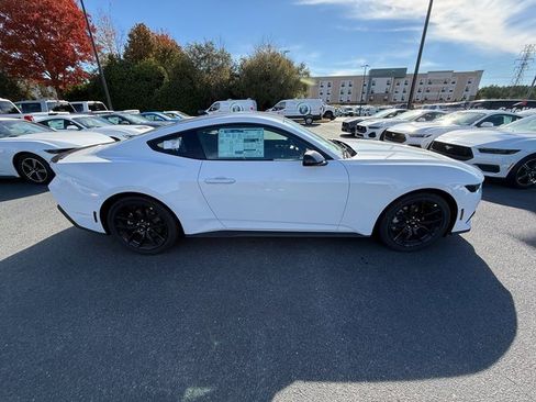 New 2026 Ford Mustang Coupe w/ Mustang Nite Pony Package image 5