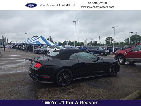 Used 2021 Ford Mustang GT Premium w/ Equipment Group 401A RWD image 2