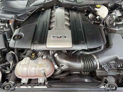Used 2019 Ford Mustang GT Premium w/ Ford Safe & Smart Package RWD image 30