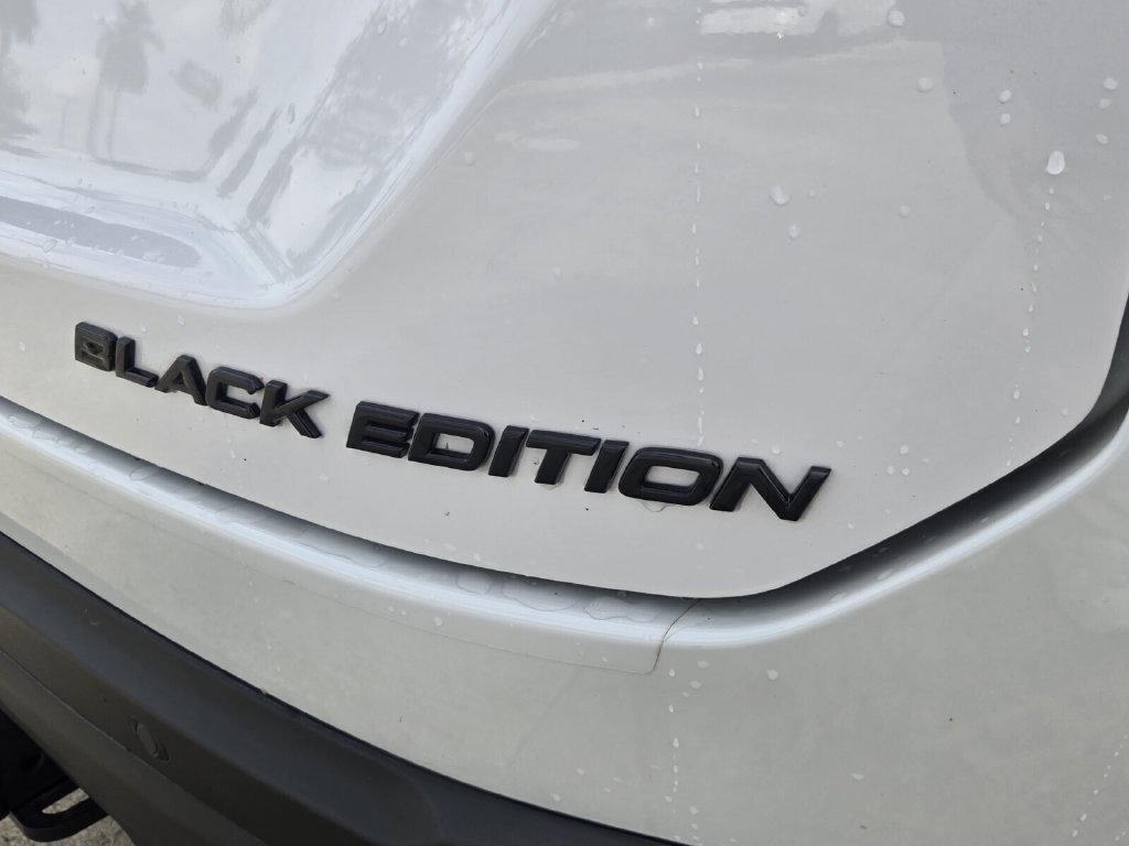 Certified 2025 Honda Pilot Black Edition image 16